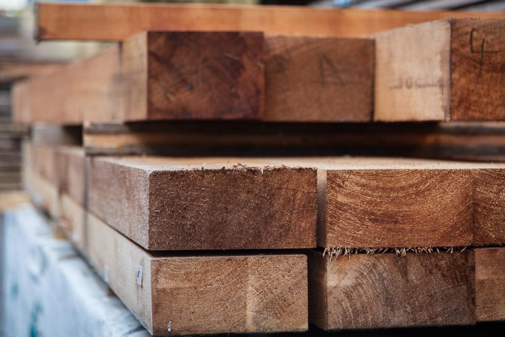 Building a canoe at Freeranger Canoe