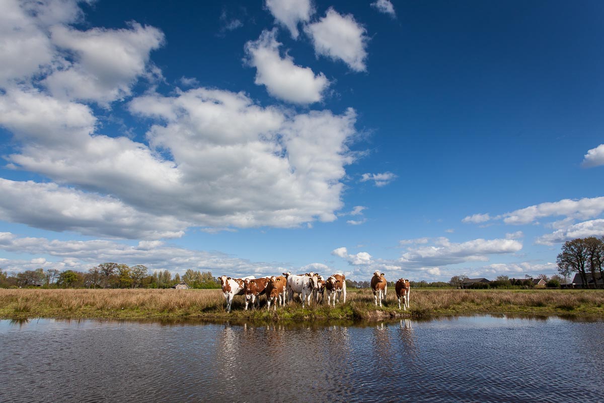 Freeranger Canoe kanovaren in Overijssel