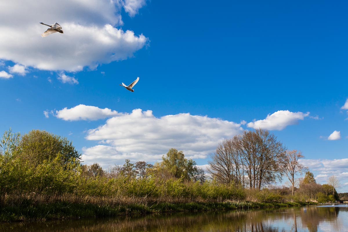 canoeing in Overijssel