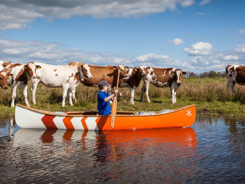 Canoeing in Overijssel – the Regge River Canoeing in Overijssel – the Regge River