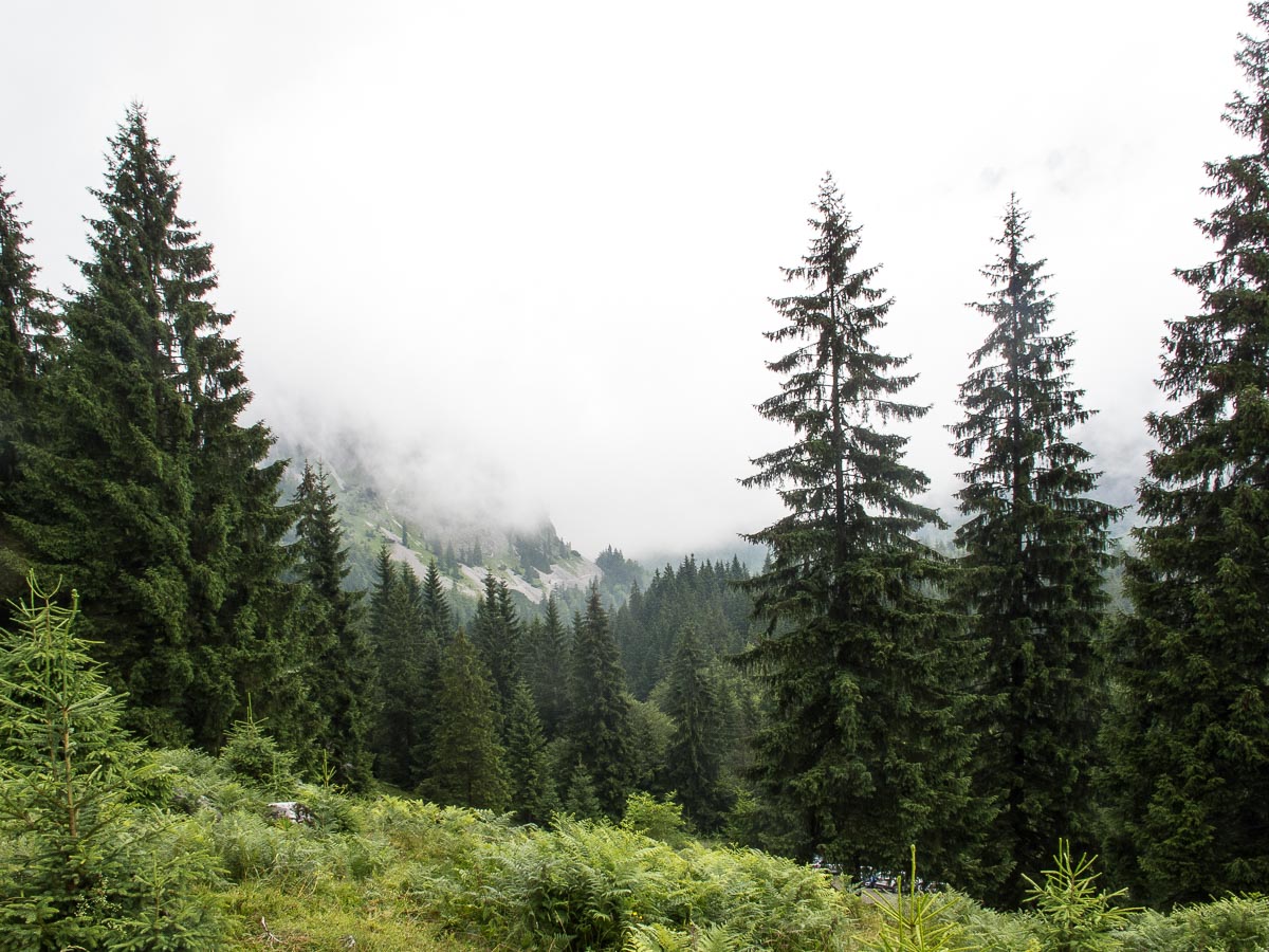 Hiking in the Alps