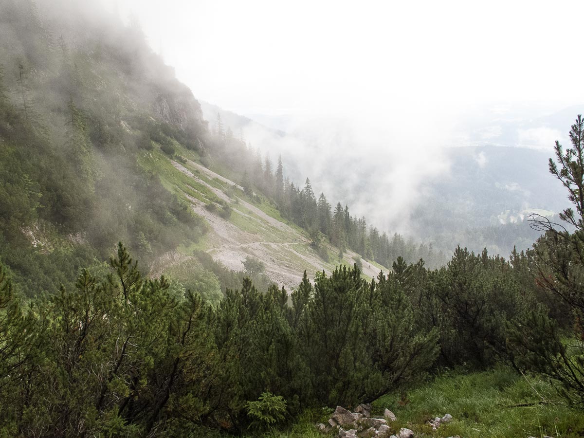 Hiking in the Alps