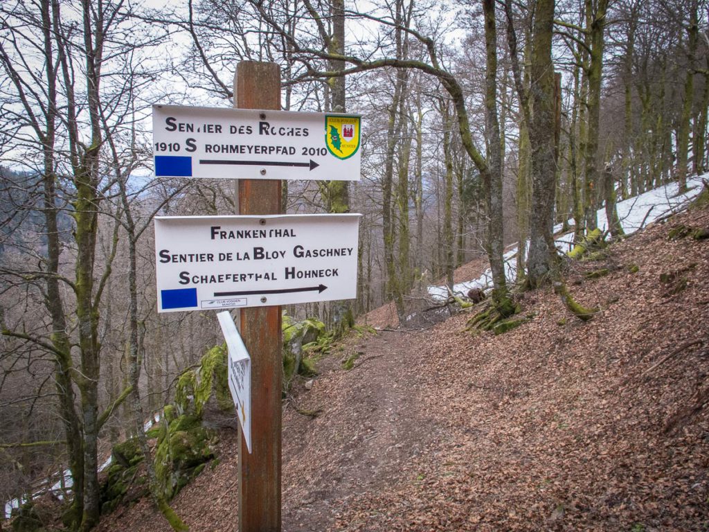 hiking in the Vosges Mountains