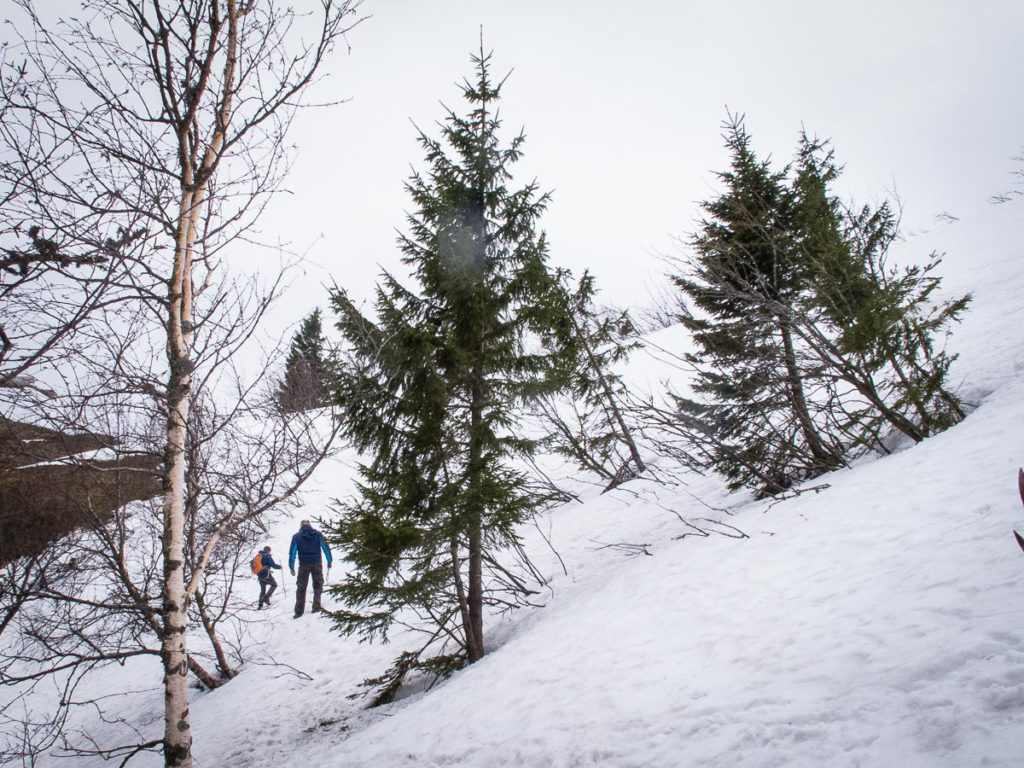 hiking in the Vosges Mountains