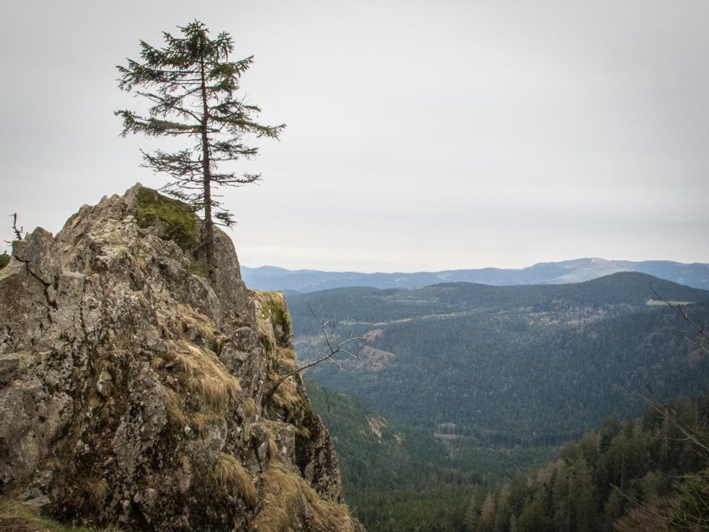 hiking in the Vosges Mountains