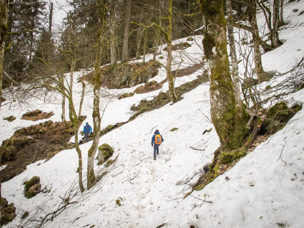 hiking in the Vosges Mountains