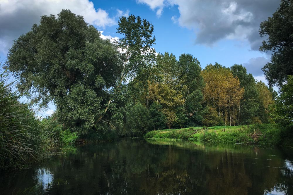 Canoeing on the Dommel