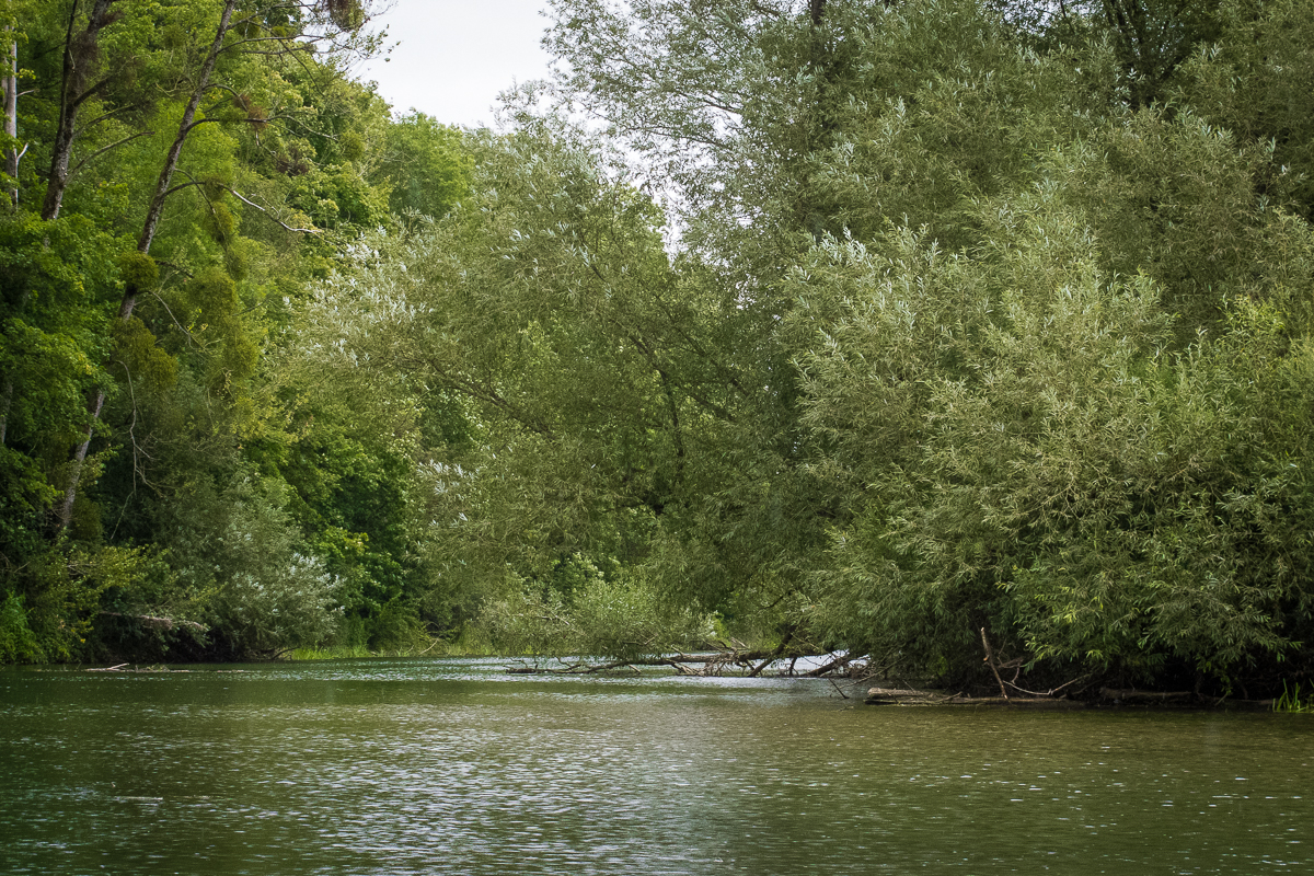 Freeranger Canoe Canoeing on the meuse