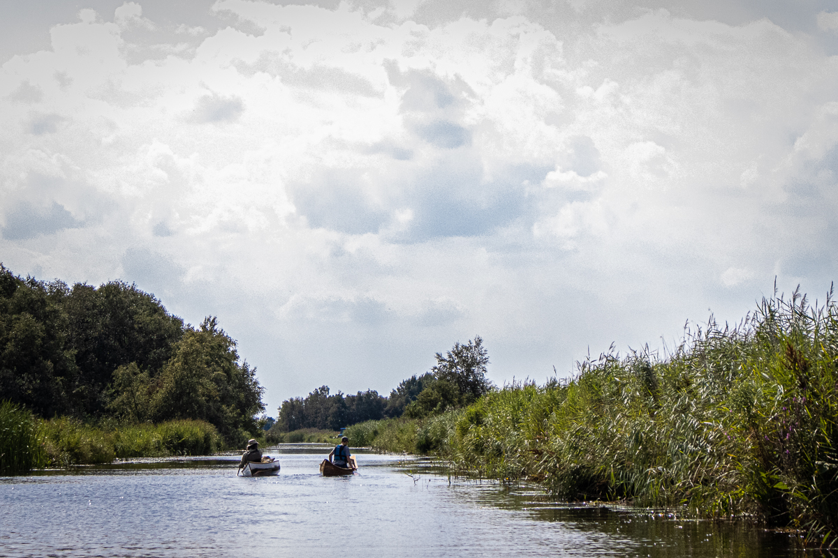 Kanovaren in de Weerribben-Wieden