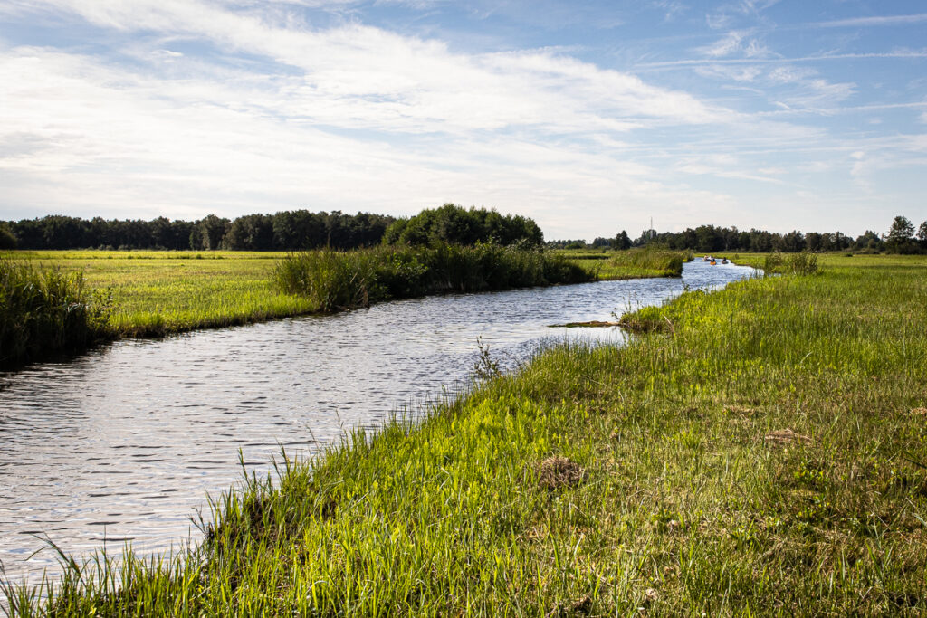 Kanovaren in de Weerribben-Wieden