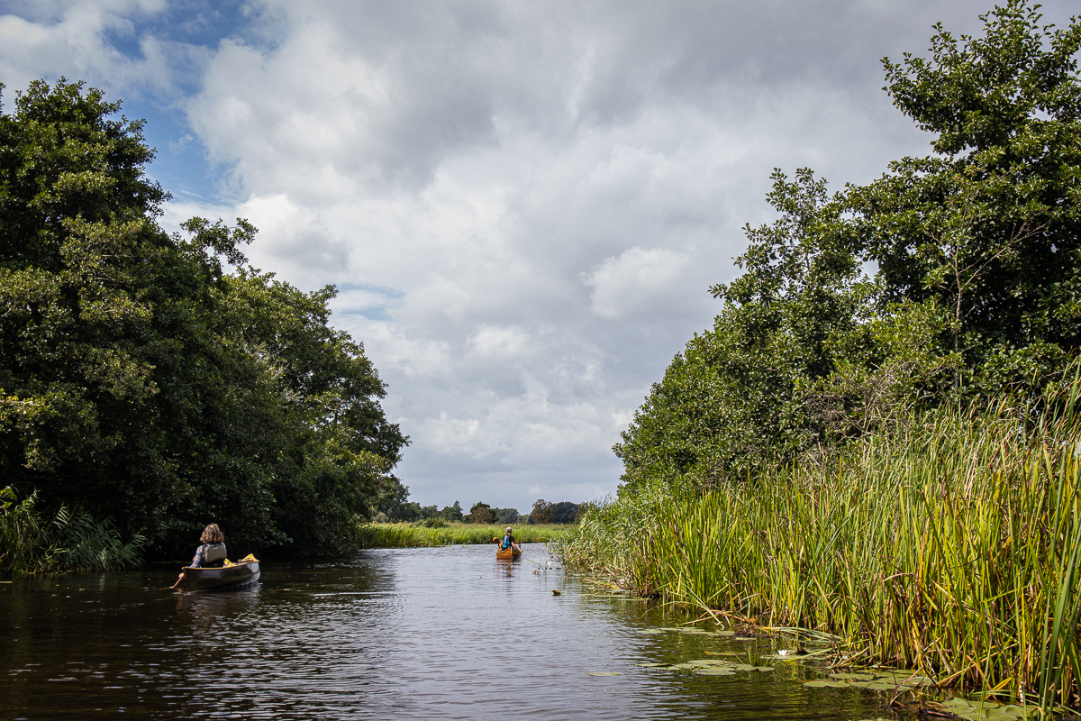 Kanovaren in de Weerribben-Wieden