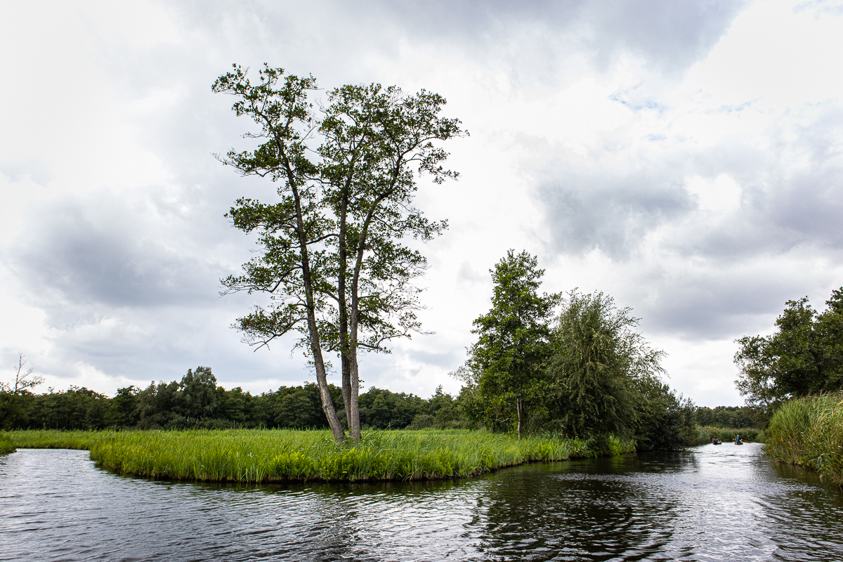 canoeing in the Weerribben-Wieden