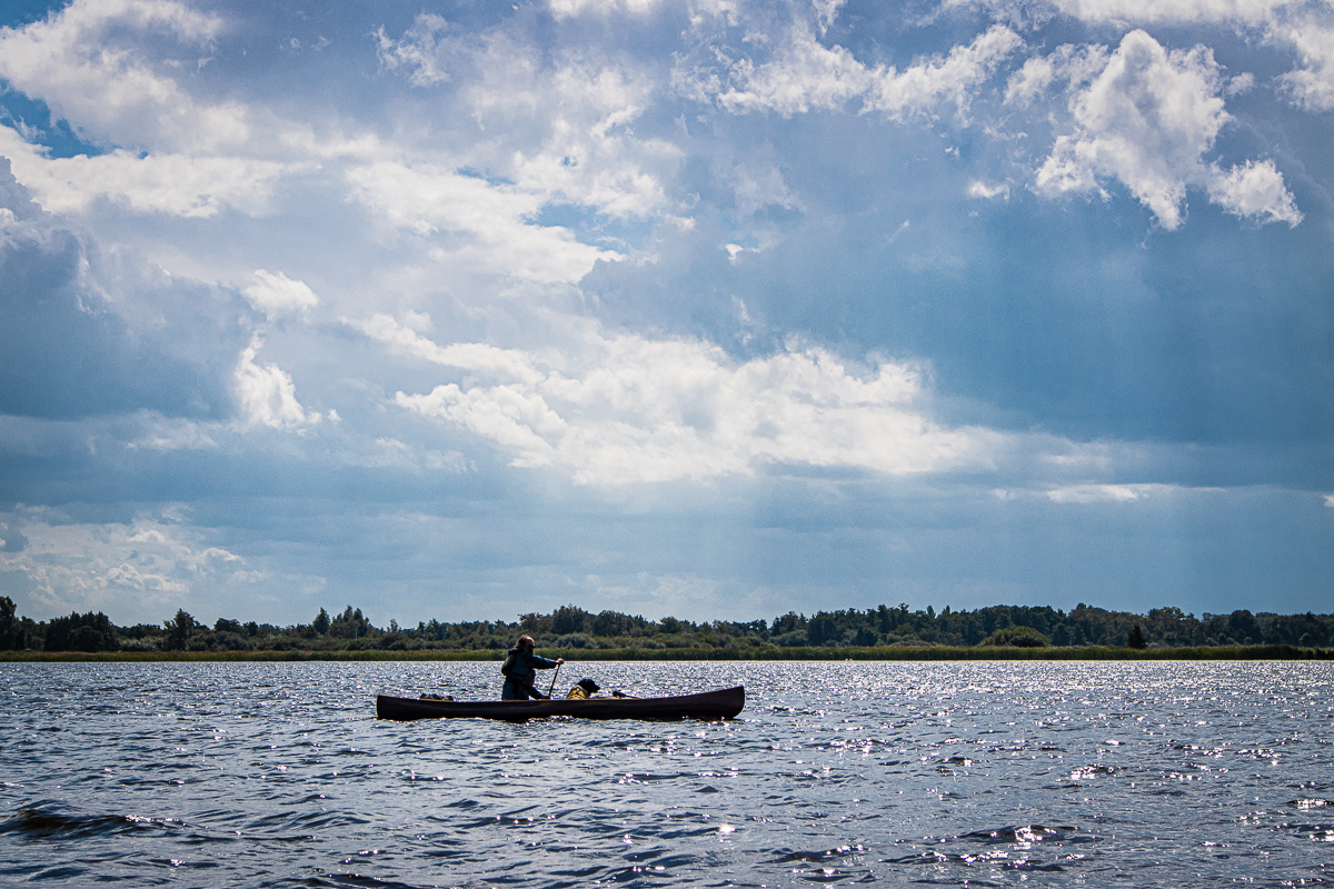 canoeing in the Weerribben-Wieden