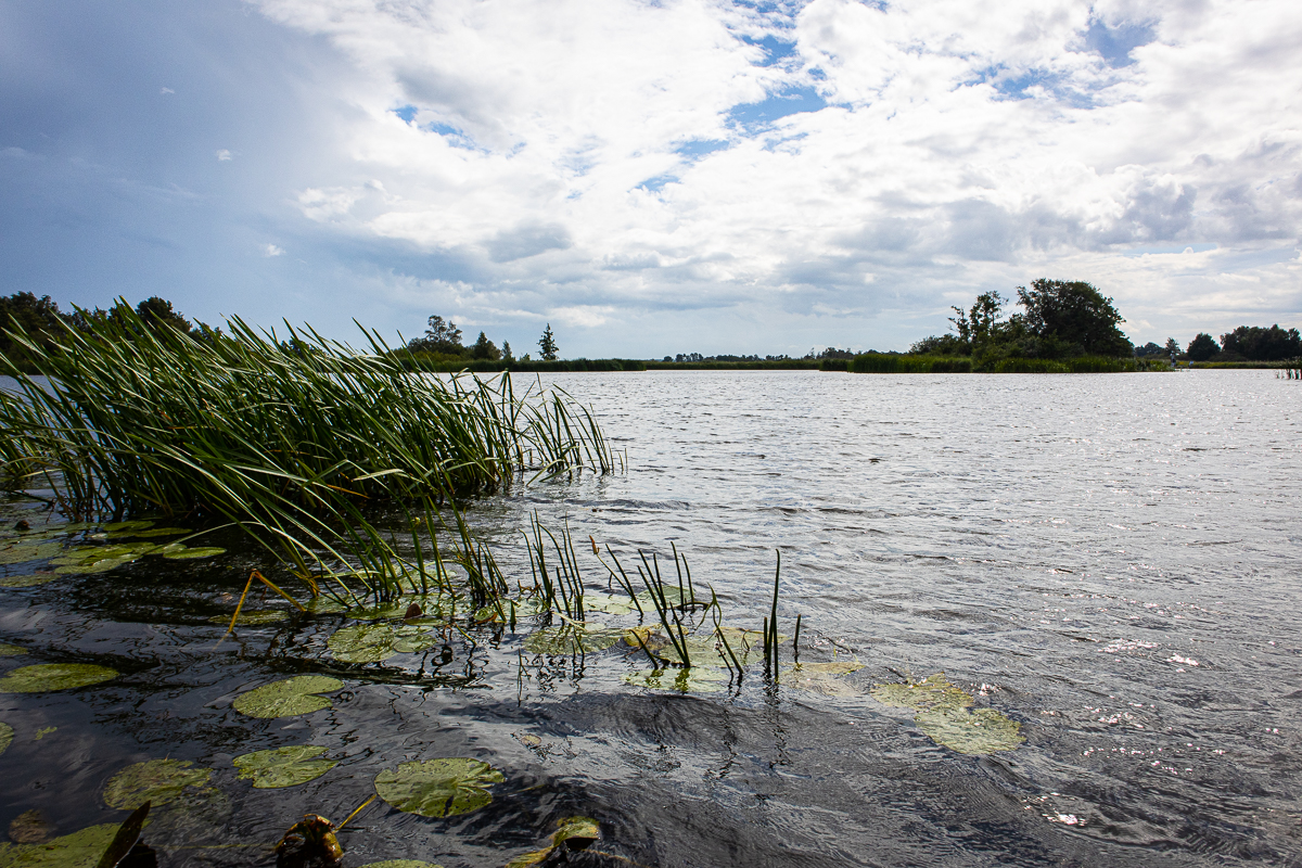 Kanovaren in de Weerribben-Wieden