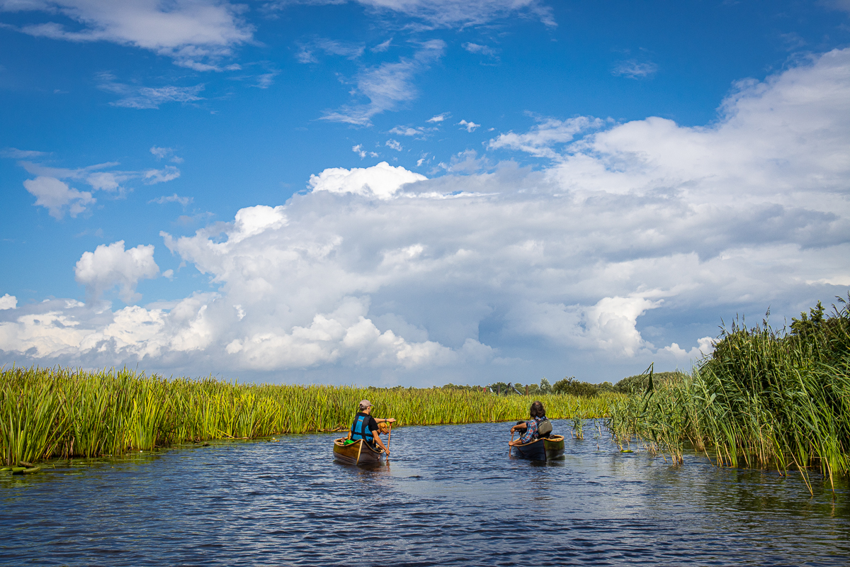 Kanovaren in de Weerribben-Wieden