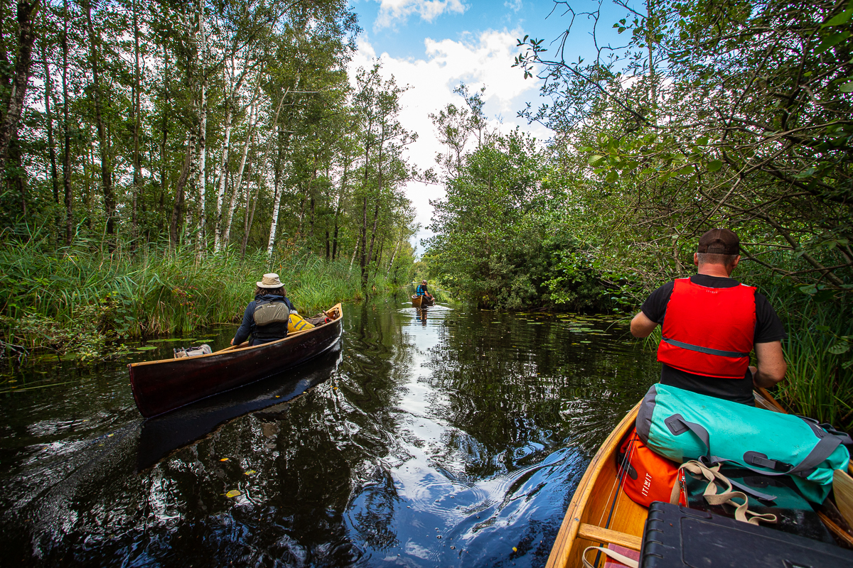 canoeing in the Weerribben-Wieden