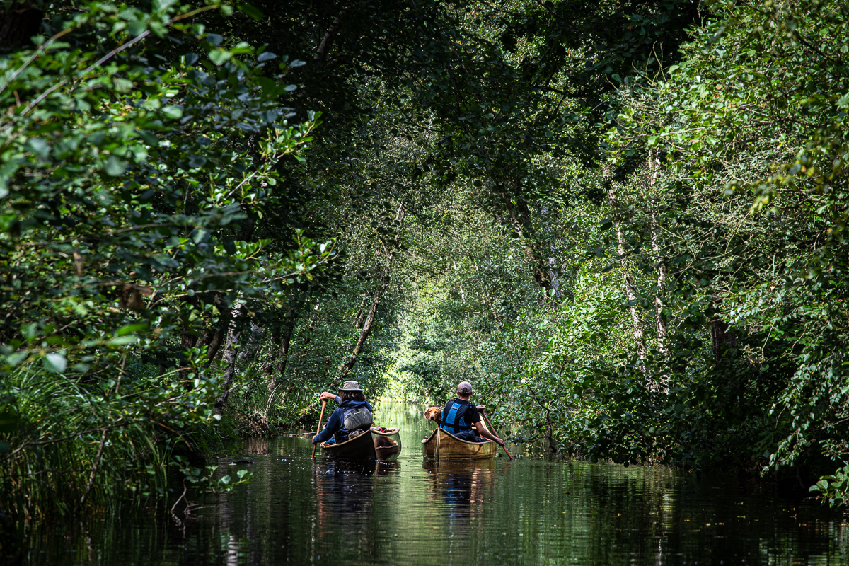 canoeing in the Weerribben-Wieden