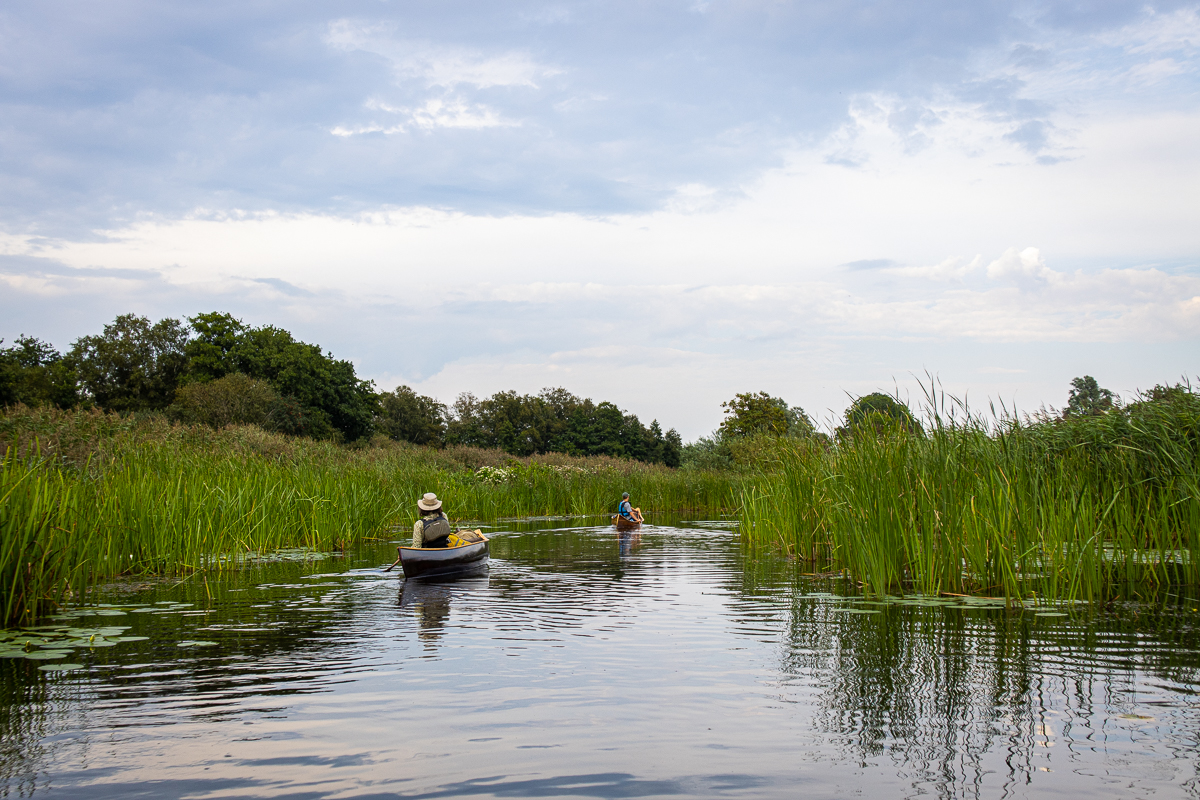 Kanovaren in de Weerribben-Wieden