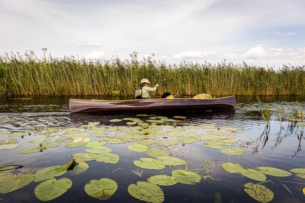 Kanokamperen op de weerribben-wieden