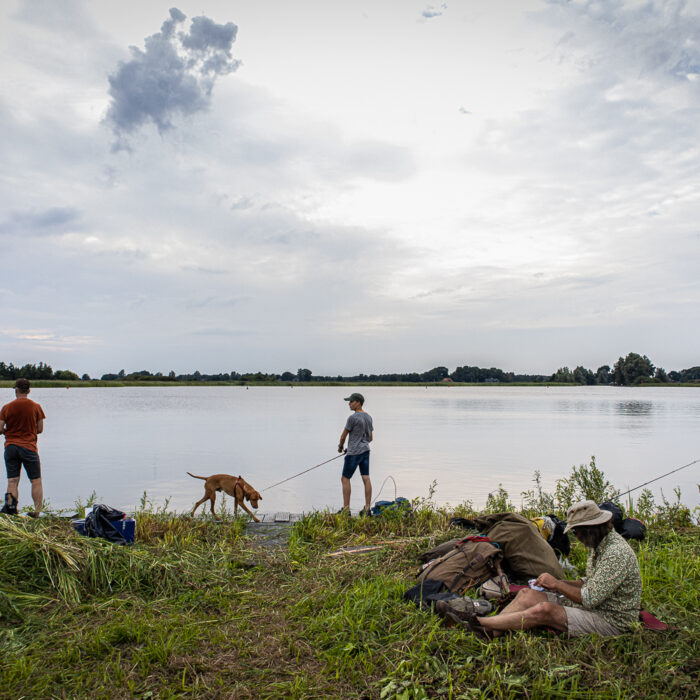 Canoe camping in the weerribben-wieden