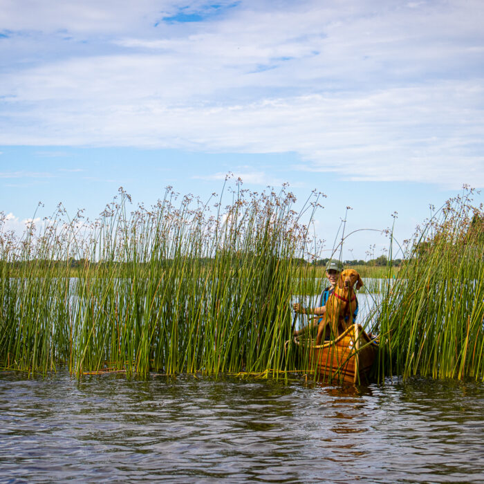 Canoe camping in the weerribben-wieden