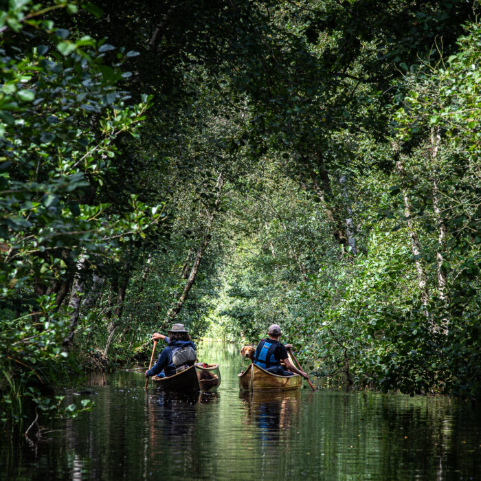 Canoe camping in the weerribben-wieden