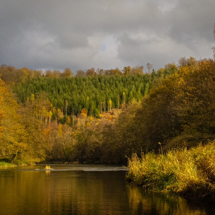 canoe trip on the Semois