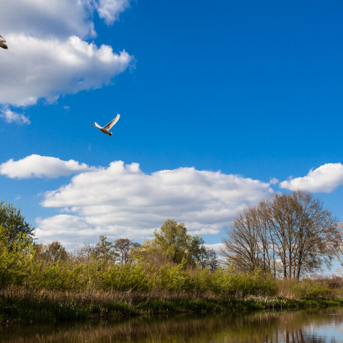 canoeing on the Regge River