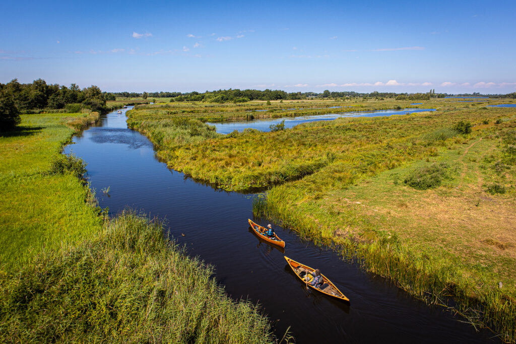 Begeleide kanotochten op de in de weerribben-wieden