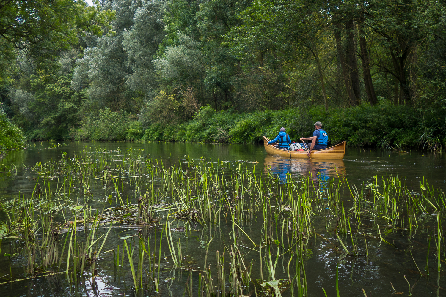 Guided Canoe trips on the Dommel