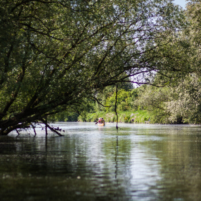 Canoeing on the Dender River