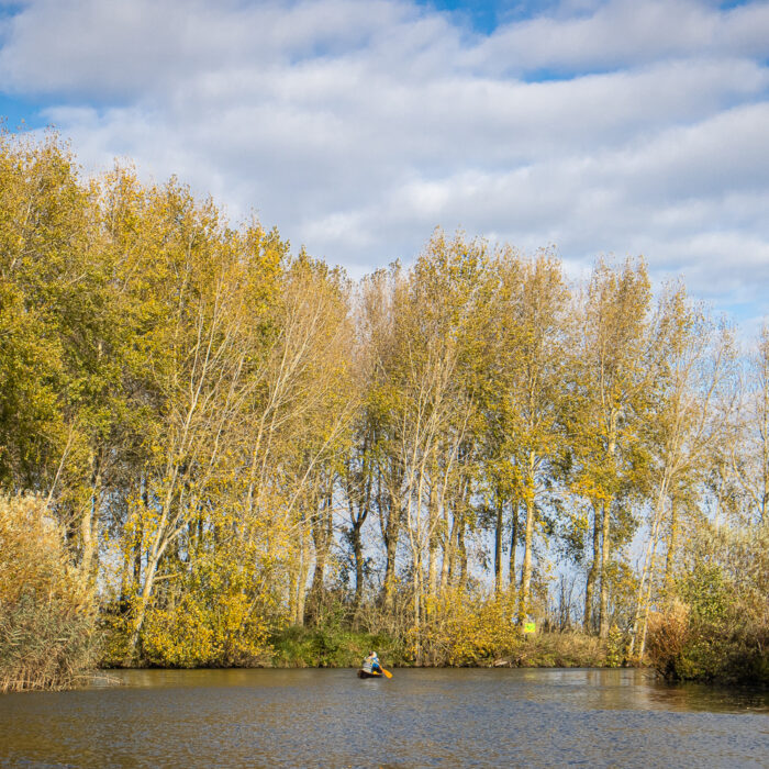 canoeing on the Leie River