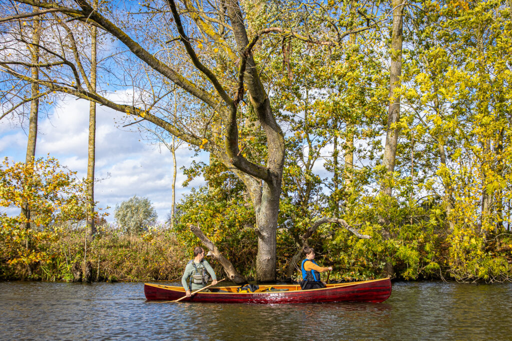 De North Woods peddel