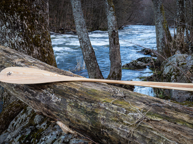 The North Woods paddle