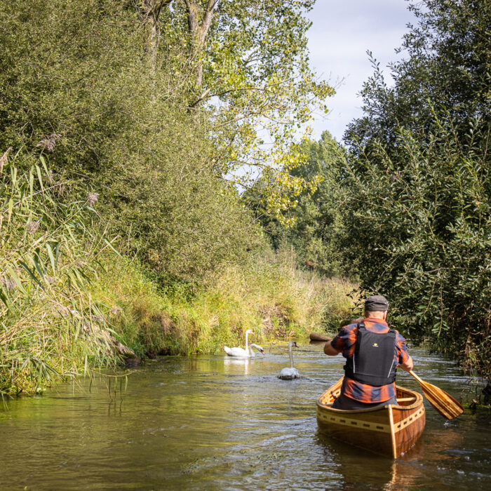 canoeing on the Dommel River