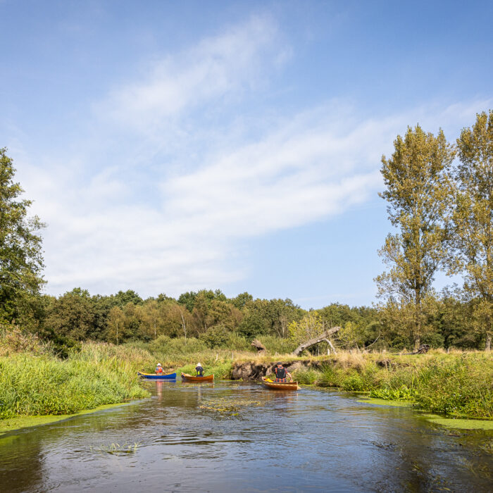 kanovaren op de Dommel