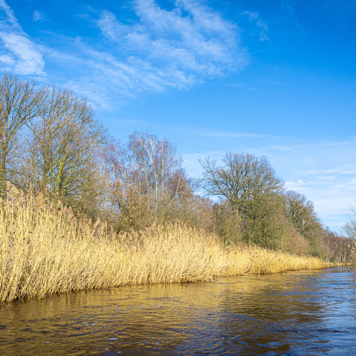 canoeing on the Nete River