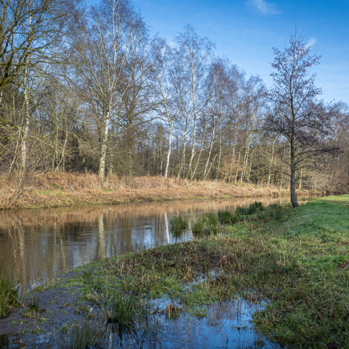 canoeing on the Nete River