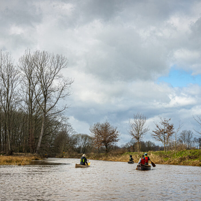 canoeing on the Nete River