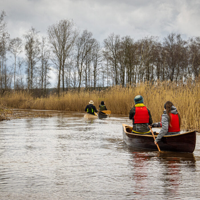canoeing on the Nete River