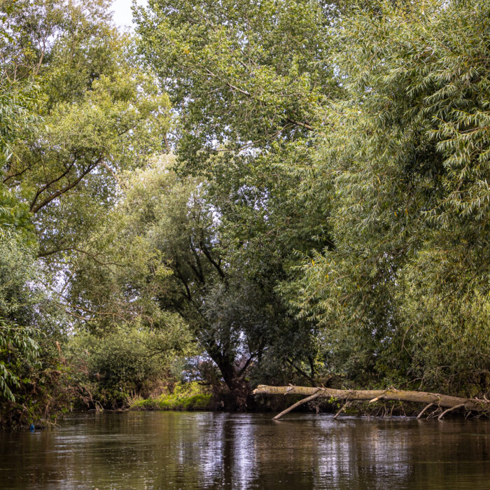canoeing on the Rur River