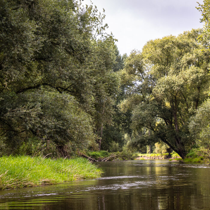 canoeing on the Rur River