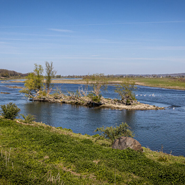 canoeing on the Meuse River