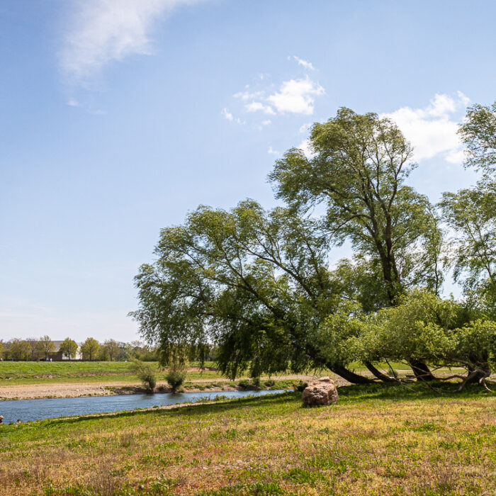 canoeing on the Meuse River