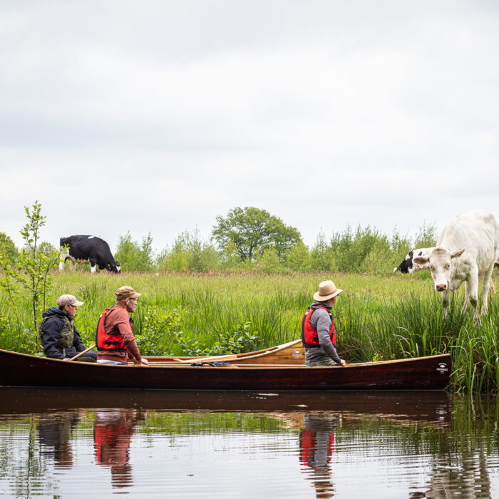canoeing on the Regge River