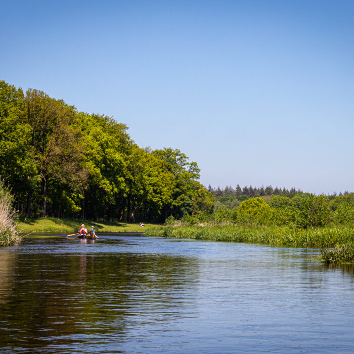 canoeing on the Regge River